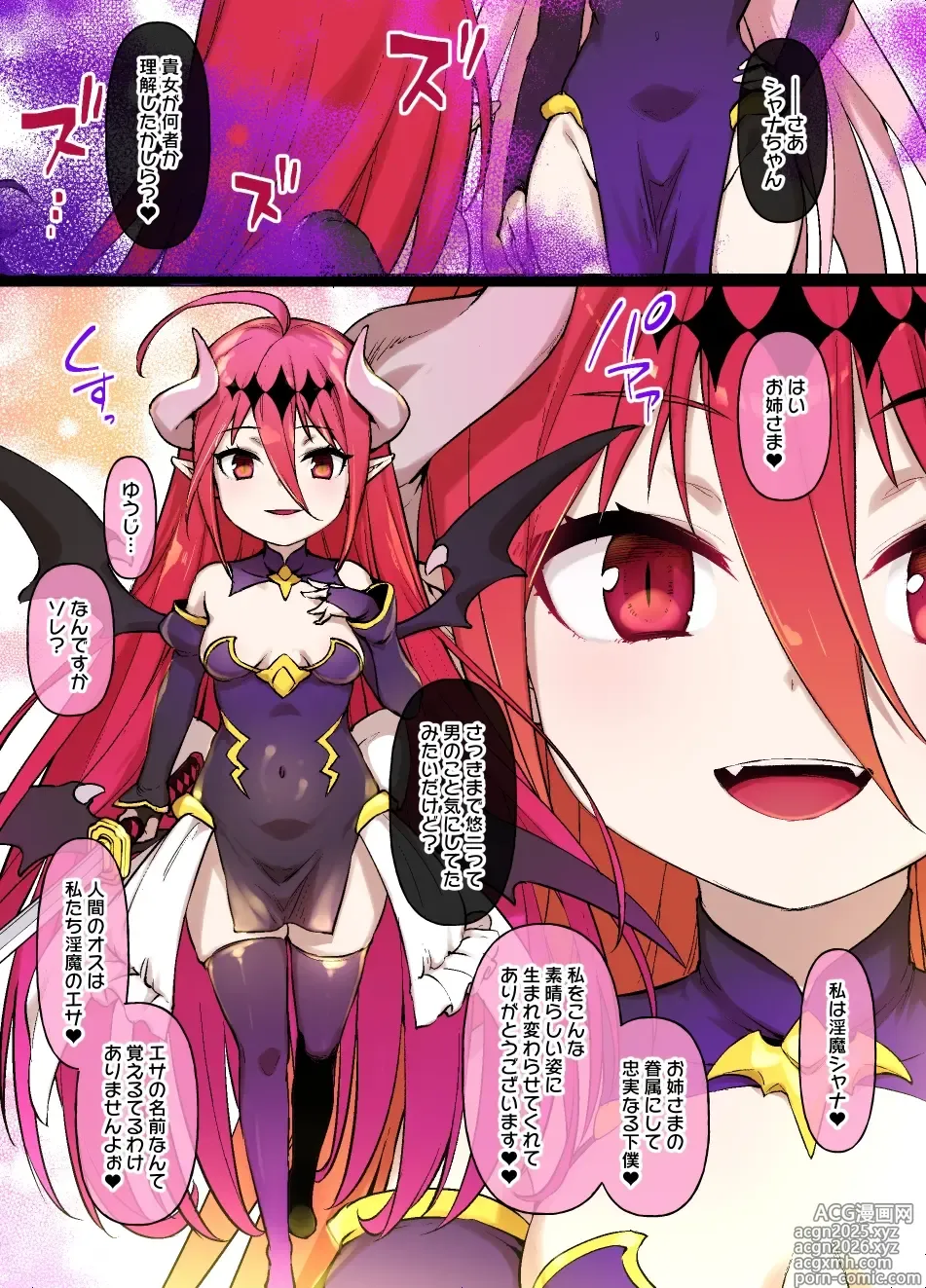 Page 3 of doujinshi 灼眼のシャナMC シャナ淫魔化漫画