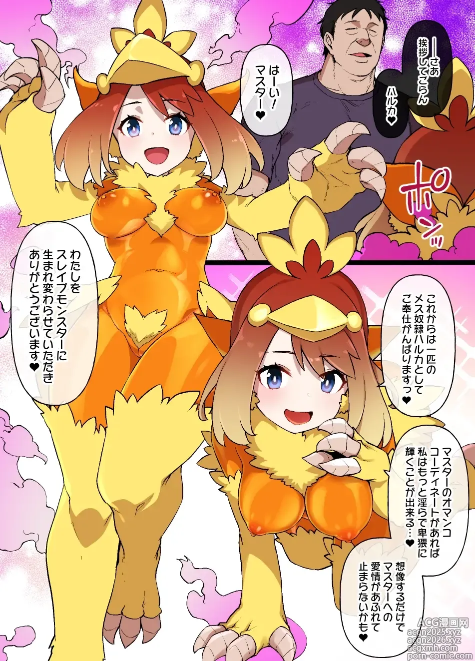 Page 9 of doujinshi スレイブボールMCハルカ＆アチャモ