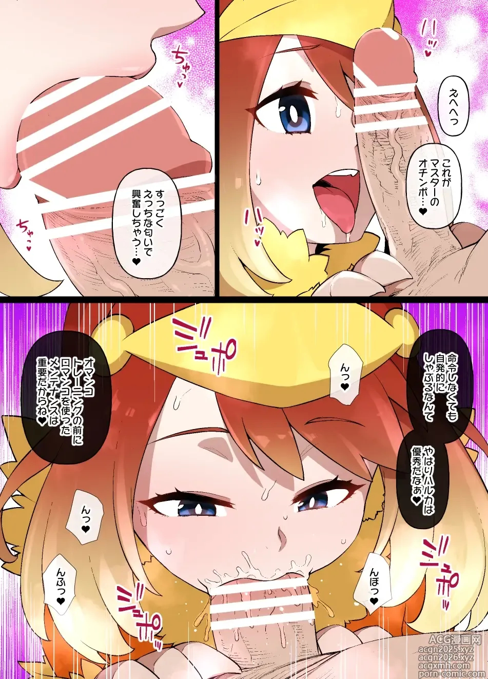Page 10 of doujinshi スレイブボールMCハルカ＆アチャモ