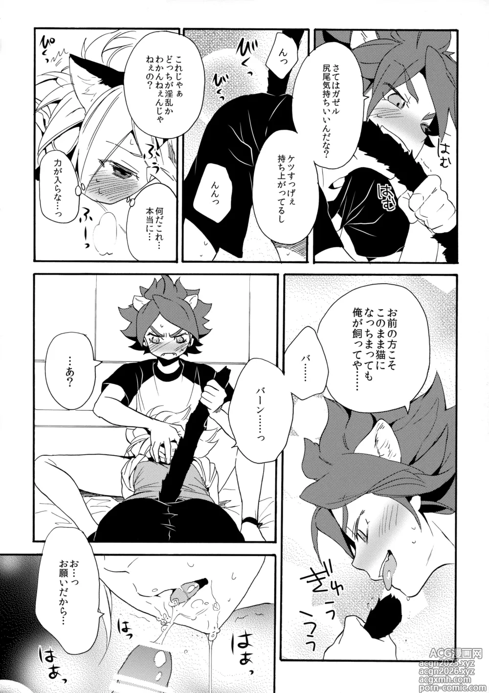Page 15 of doujinshi Wan Nyan Chaos