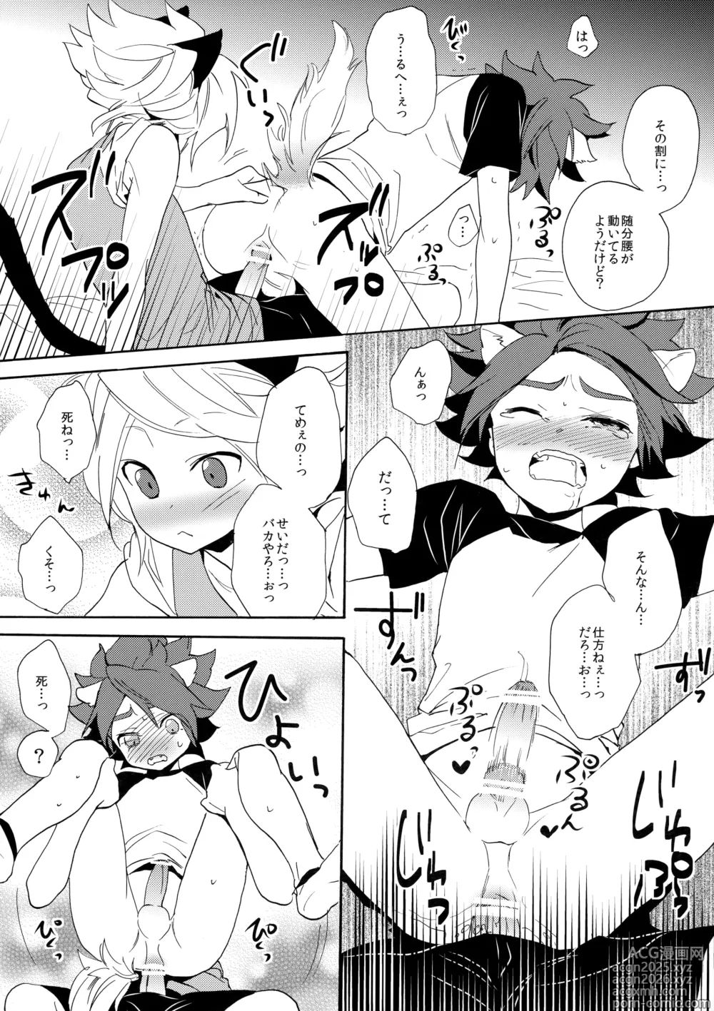 Page 23 of doujinshi Wan Nyan Chaos
