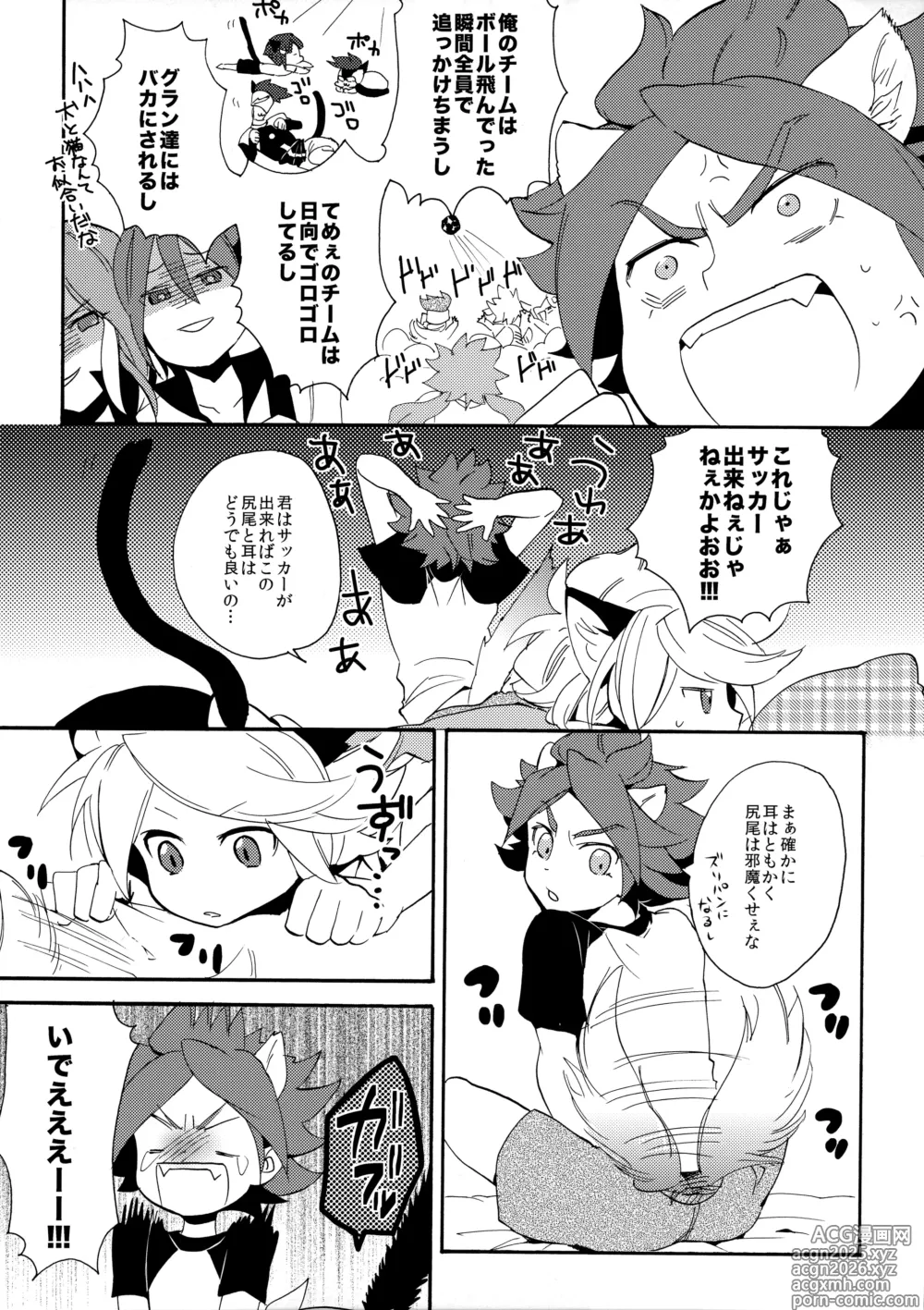 Page 5 of doujinshi Wan Nyan Chaos