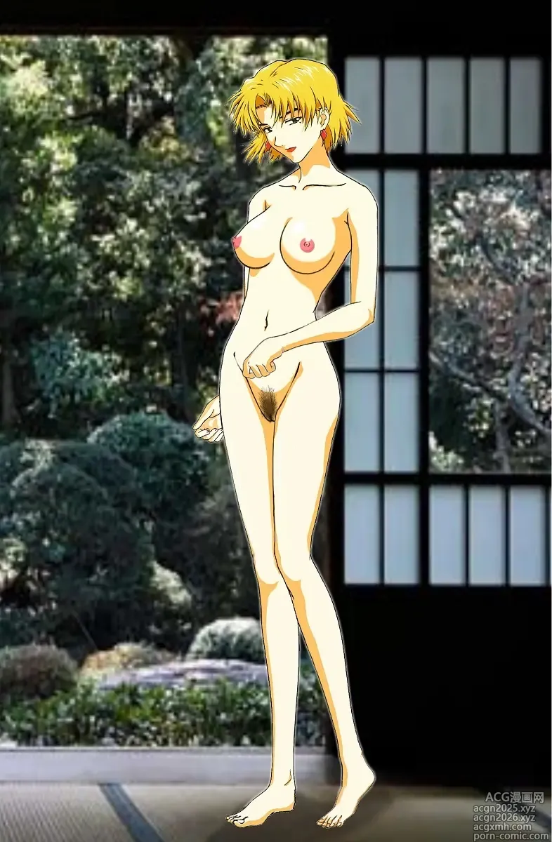 Page 1 of imageset Ritsuko Akagi