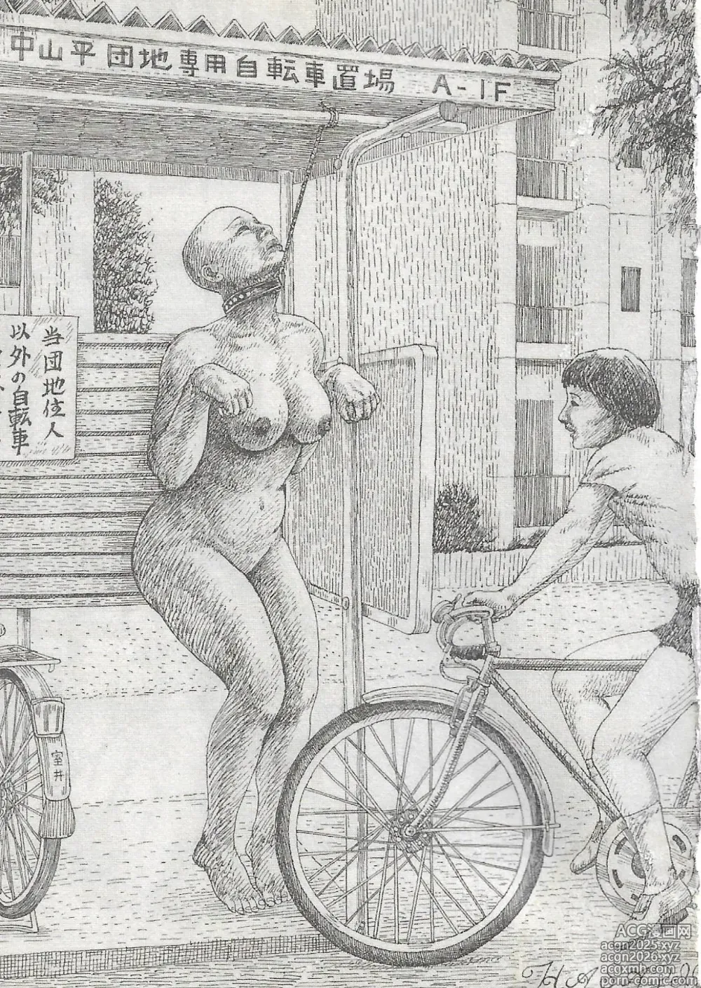 Page 29 of imageset LIFE WITH WOMAN DOG