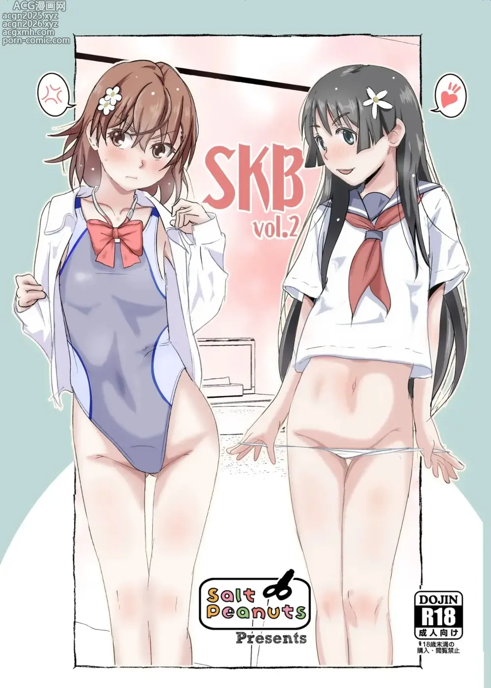 Page 1 of doujinshi SKB vol. 2