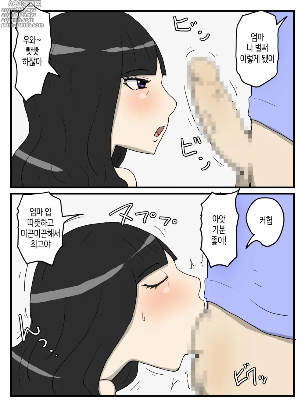 Page 3 of doujinshi 엄마의 성 처리 펠라에 이어 질내사정 섹스까지 하고 싶다