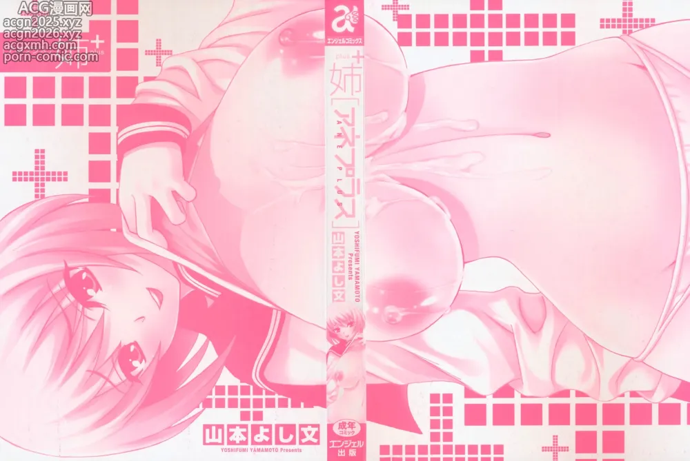 Page 3 of manga Ane Plus