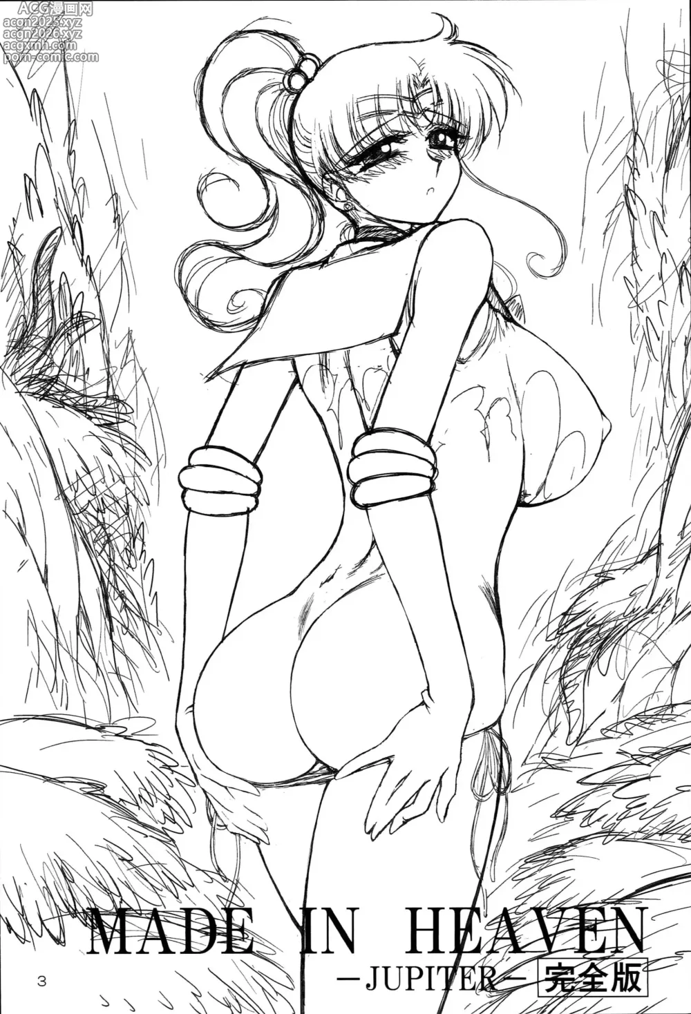 Page 3 of doujinshi 天堂制造 木星篇