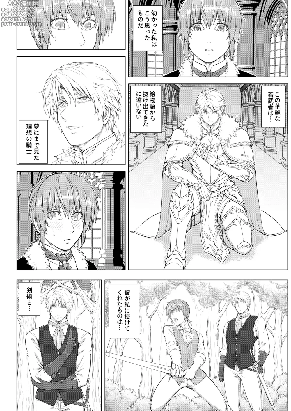 Page 10 of doujinshi Kishi to Ouji no Himitsu no Yoru