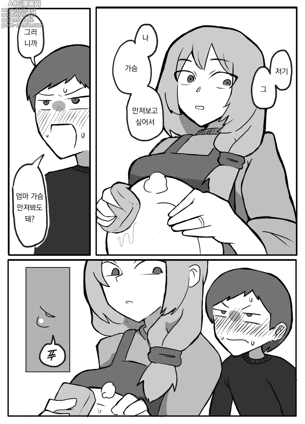 Page 3 of doujinshi 아들이 가슴을 만져보고 싶다고 해서