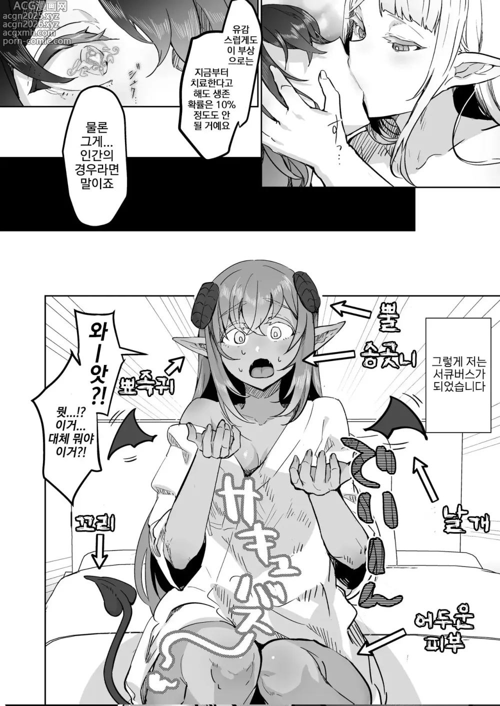 Page 6 of doujinshi 후타나리 치료 서큐버스 클리닉 -서큐 간호사 연수 조교 편-