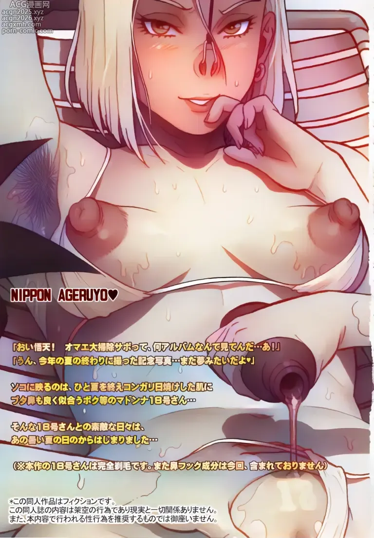 Page 2 of doujinshi Nippon Ageruyo