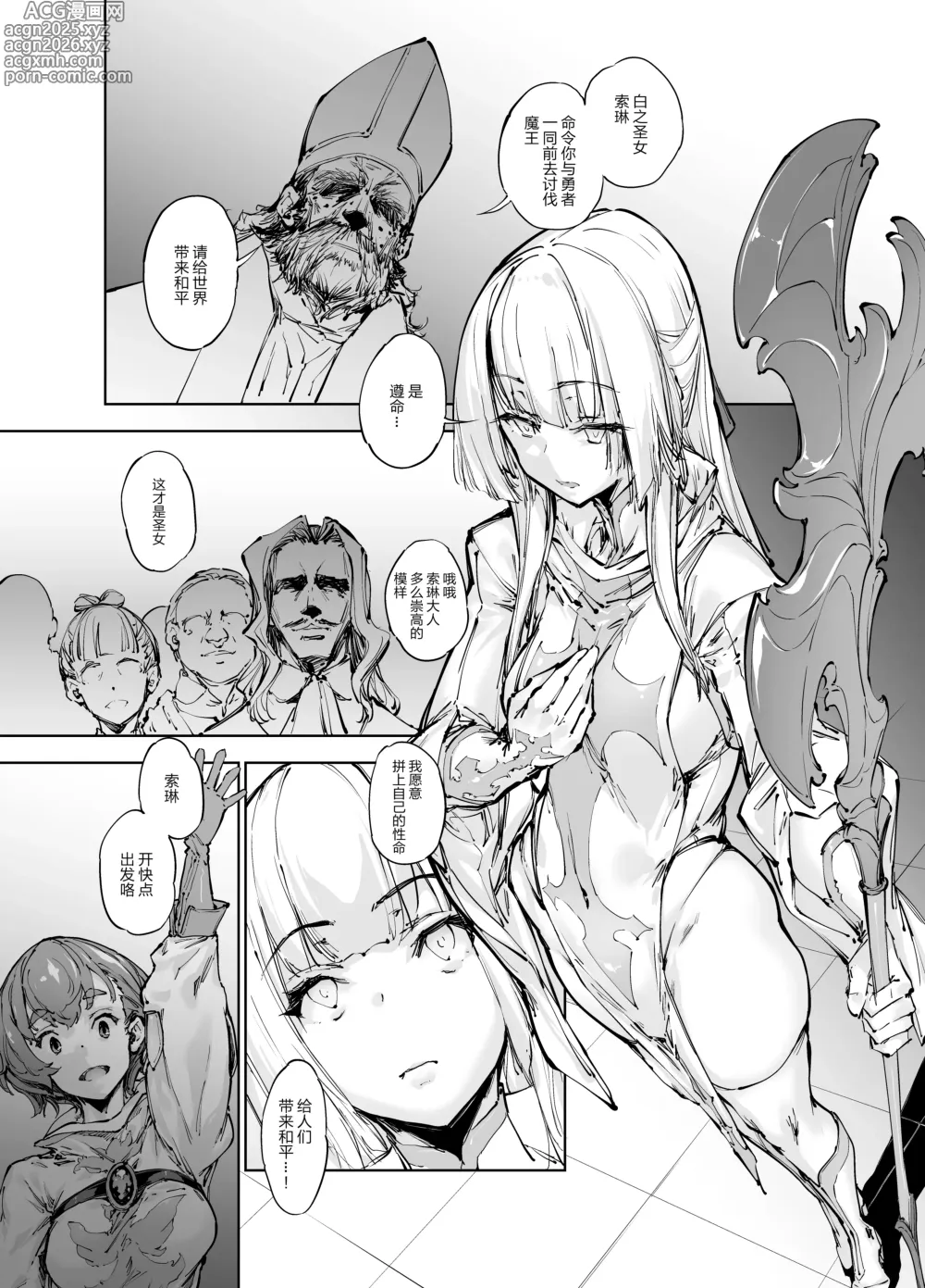 Page 3 of doujinshi Brave Fallen(僧侶・ソレーヌ前編+後) [無修正]中文