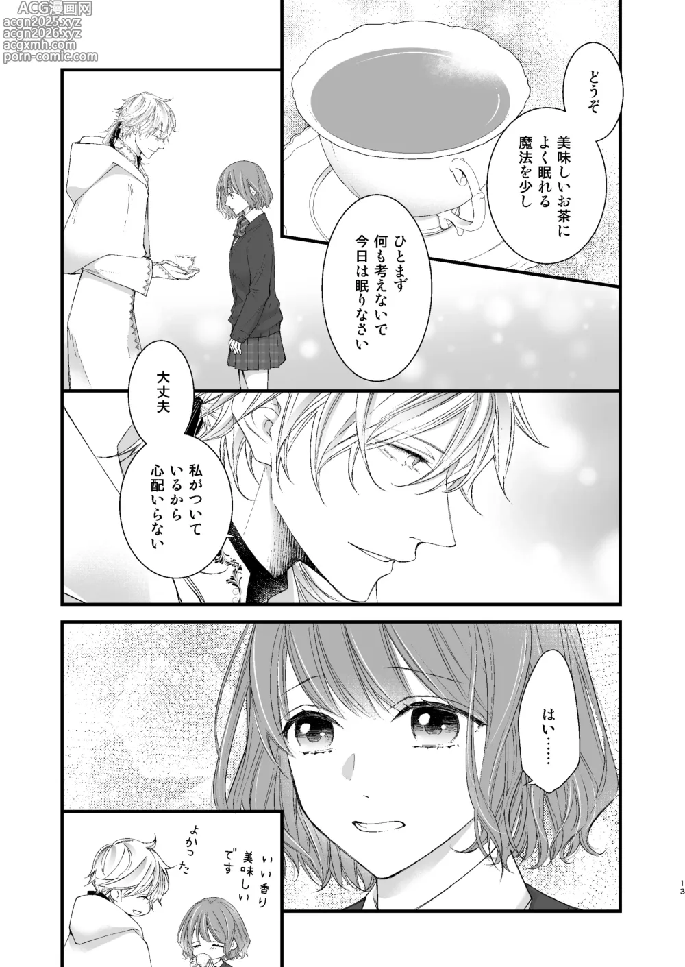 Page 13 of doujinshi 魔術師的鳥籠
