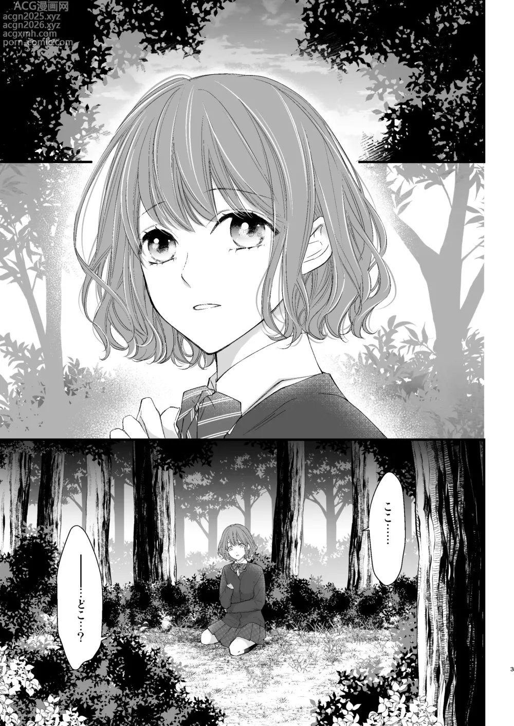 Page 3 of doujinshi 魔術師的鳥籠