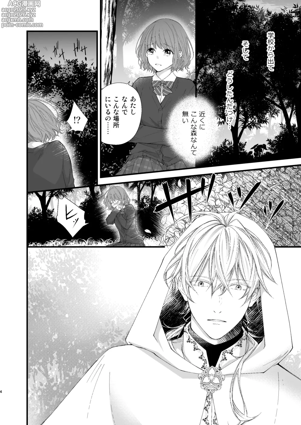 Page 4 of doujinshi 魔術師的鳥籠