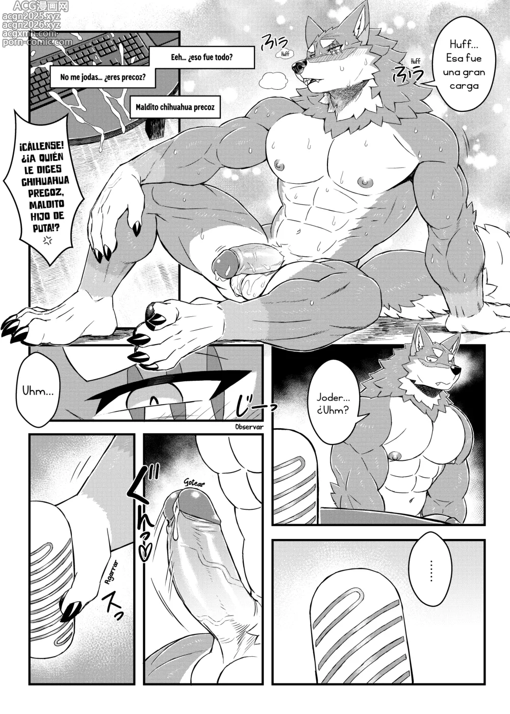 Page 11 of doujinshi Aniki no Himitsu Haishin • Los Streams Secretos del Hermano Mayor