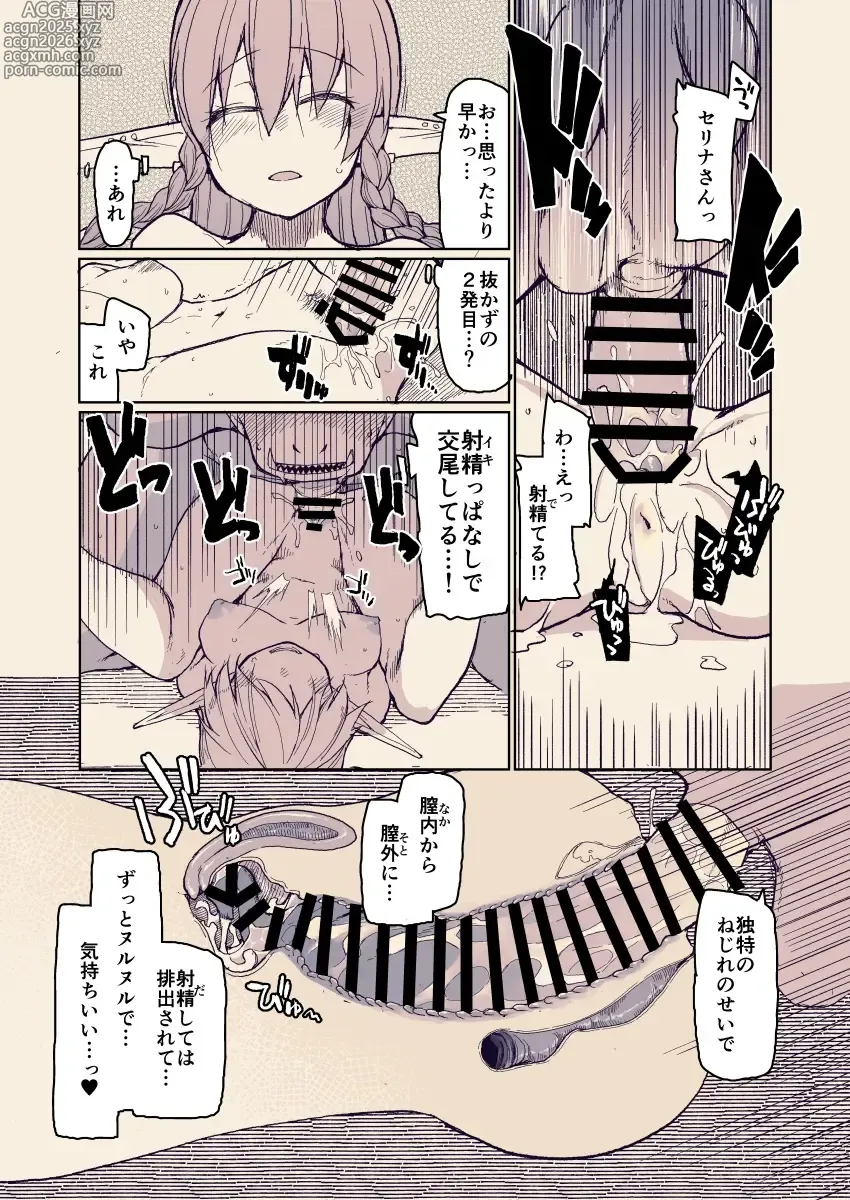 Page 12 of doujinshi Dosukebe Elf no Ishukan Nikki 13