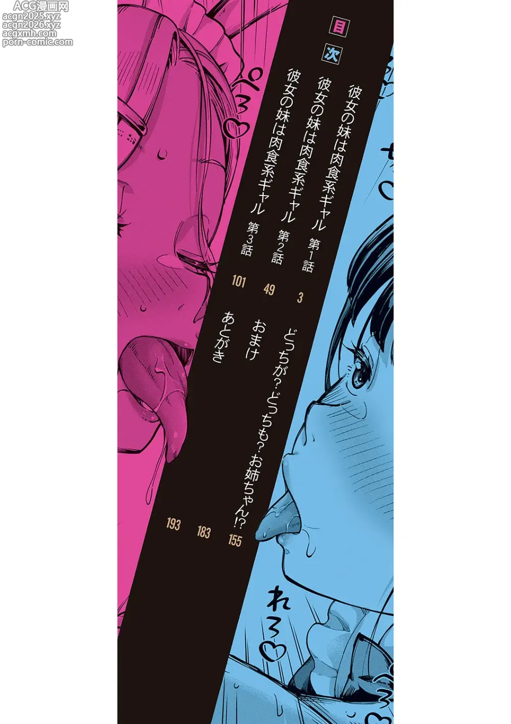 Page 3 of manga Kanojo no Imouto wa Nikushoku-kei Gal