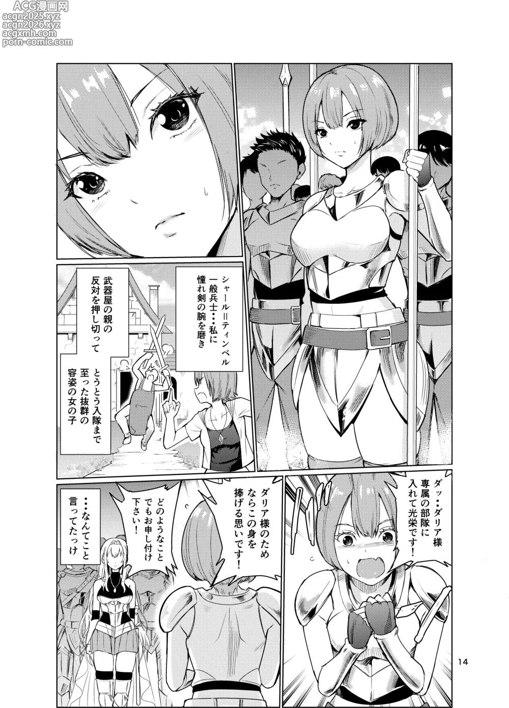 Page 13 of doujinshi Kyouran no Toubatsu Hime Daria 3