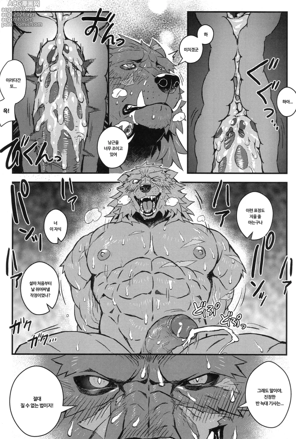 Page 13 of doujinshi Nocturne of the half-wolf