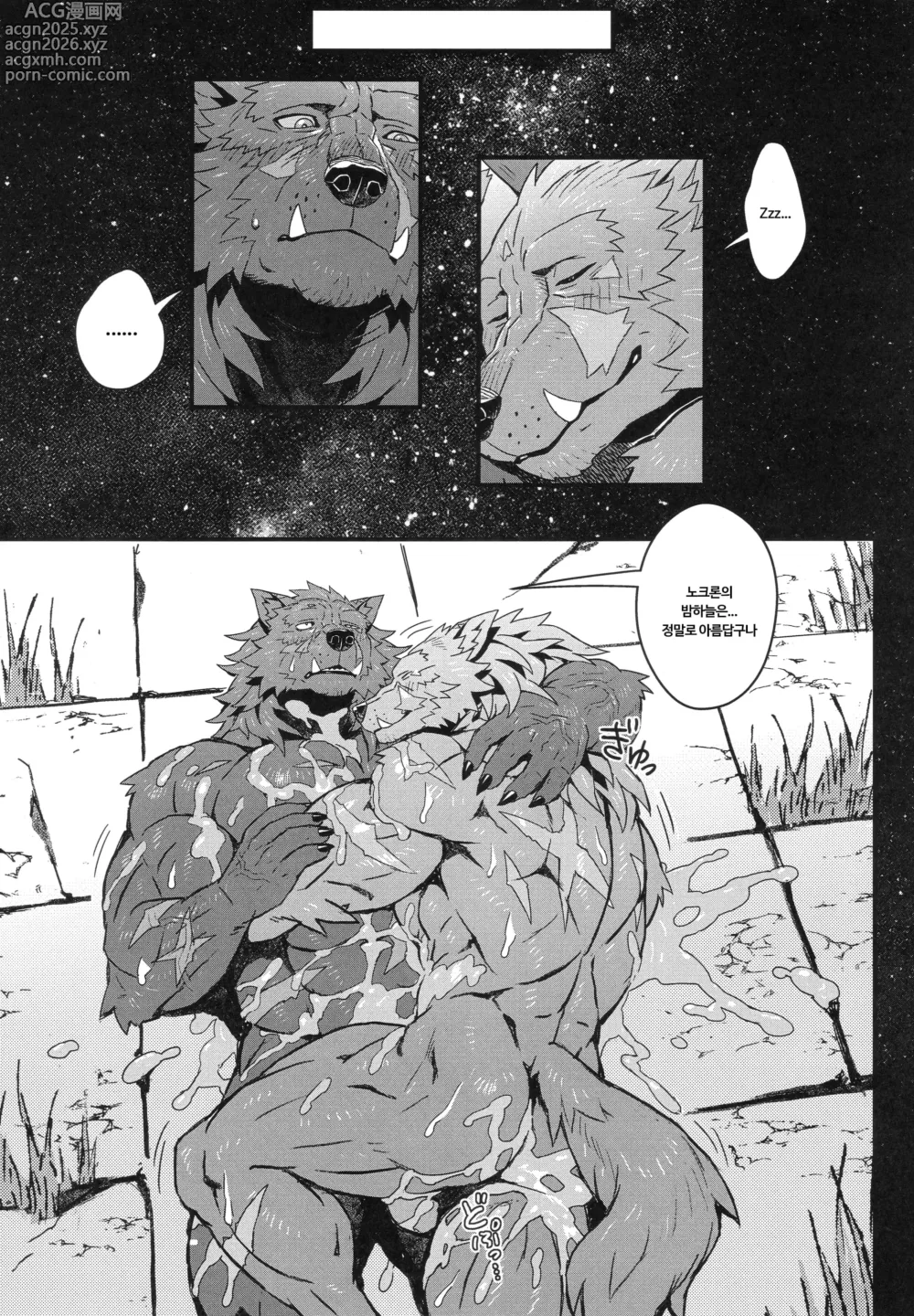Page 18 of doujinshi Nocturne of the half-wolf