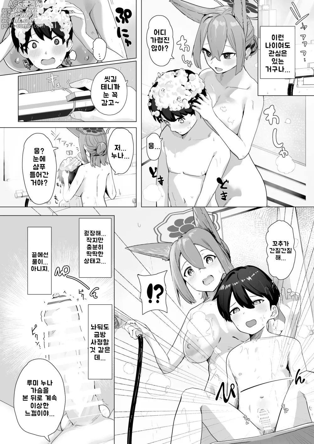 Page 5 of doujinshi 오늘만은 너의 누나