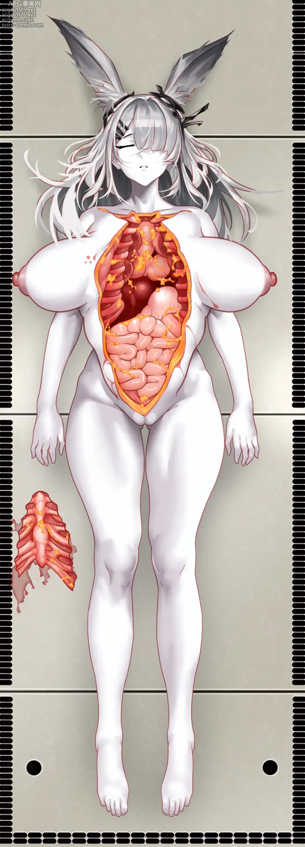 Page 4 of imageset transformers11