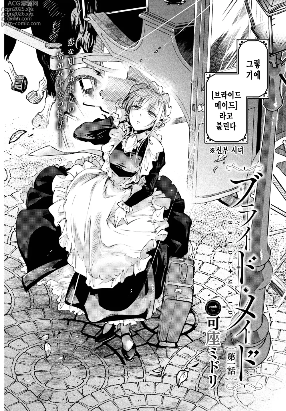 Page 3 of manga 브라이드 메이드 Ch. 1