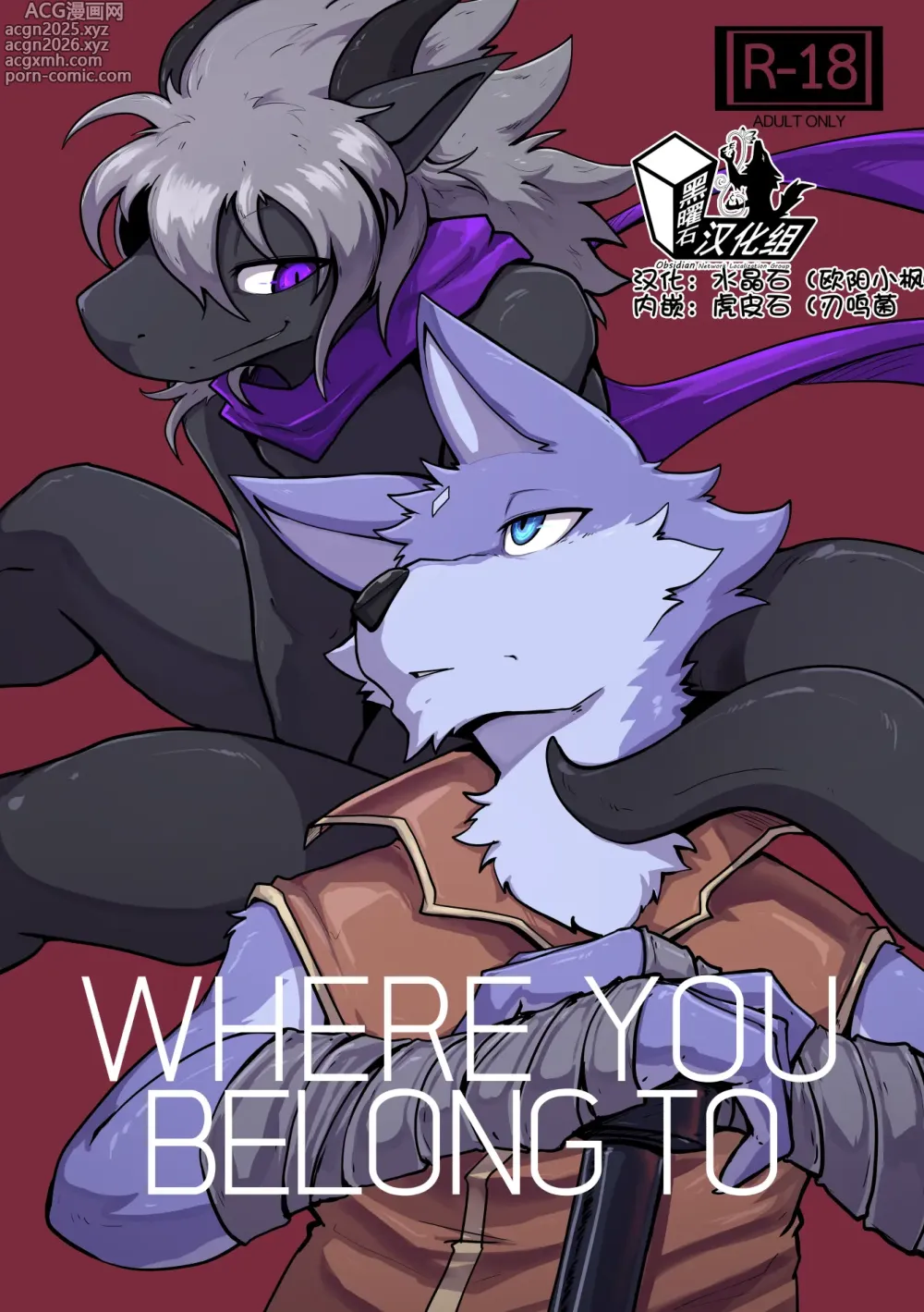 Page 2 of doujinshi 【nurinaki】WhereYouBelongTo【黑曜石汉化组】