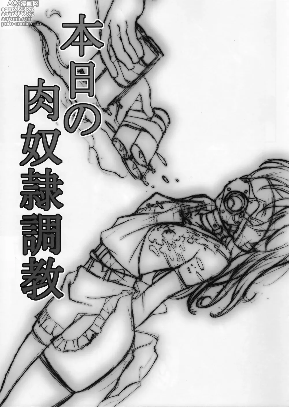 Page 2 of doujinshi Honjitsu no Nikudorei Choukyou