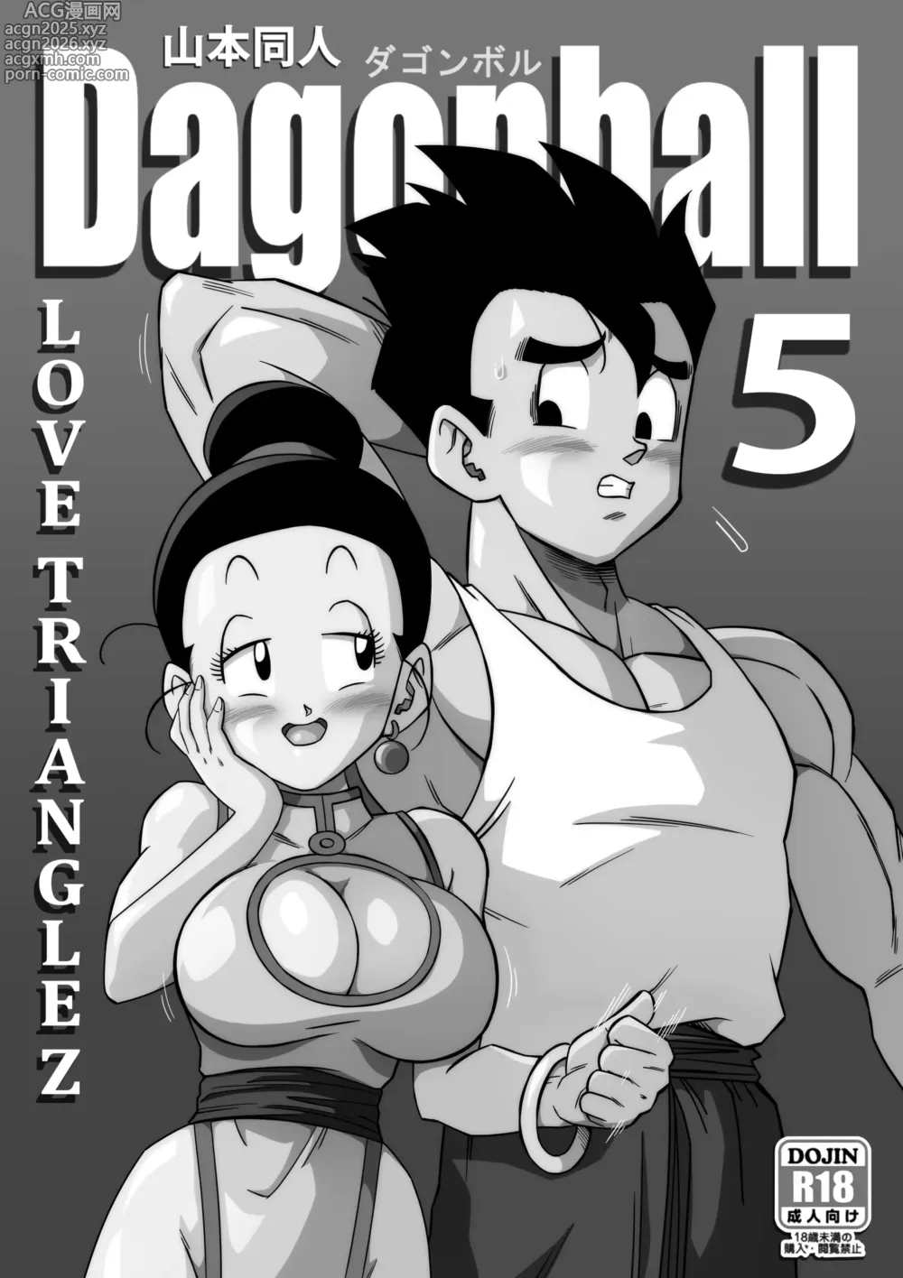 Page 2 of doujinshi Dagon Ball - Love Triangle Z 5