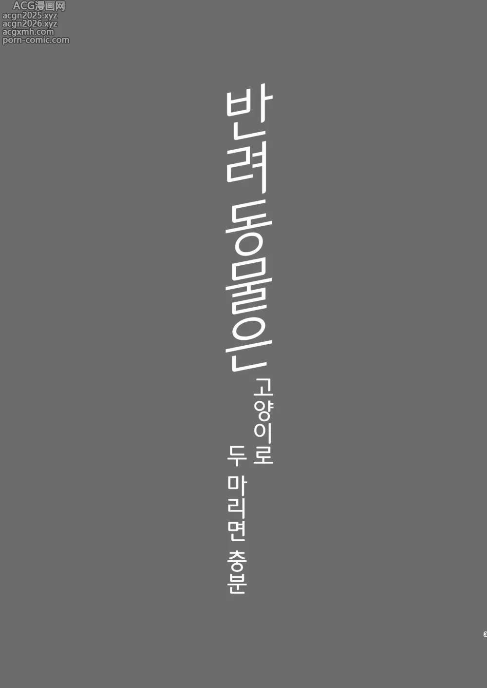 Page 3 of doujinshi 반려동물은 고양이로 두 마리면 충분