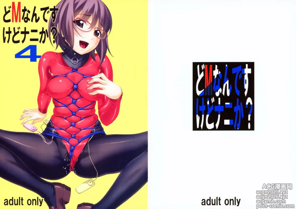 Page 27 of doujinshi Do M Nandesukedo Nanika? 4