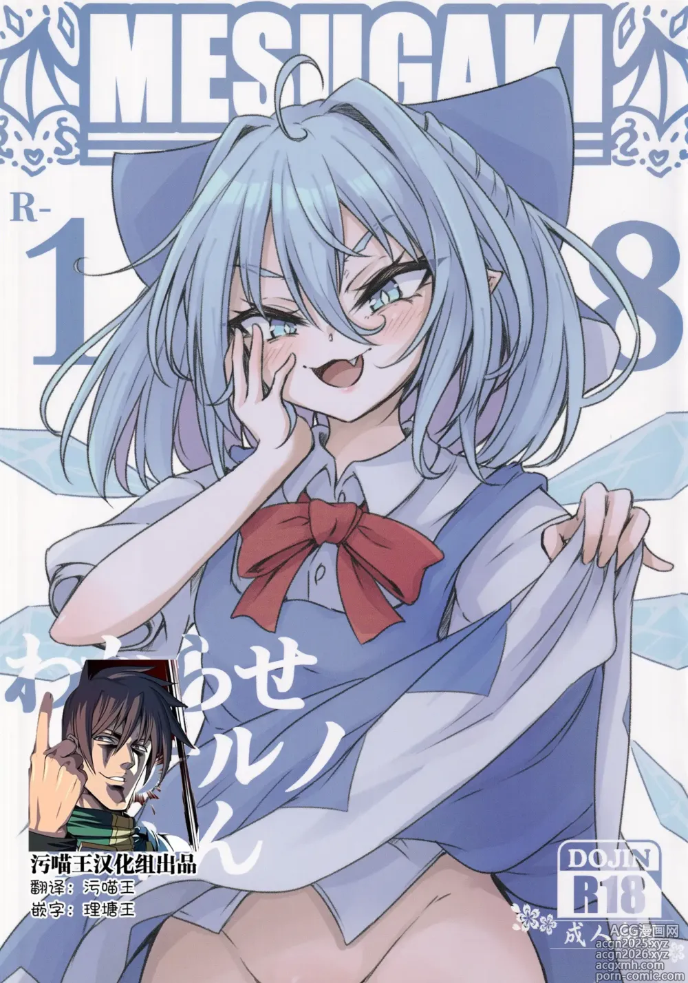 Page 1 of doujinshi Wakarase Cirno-chan