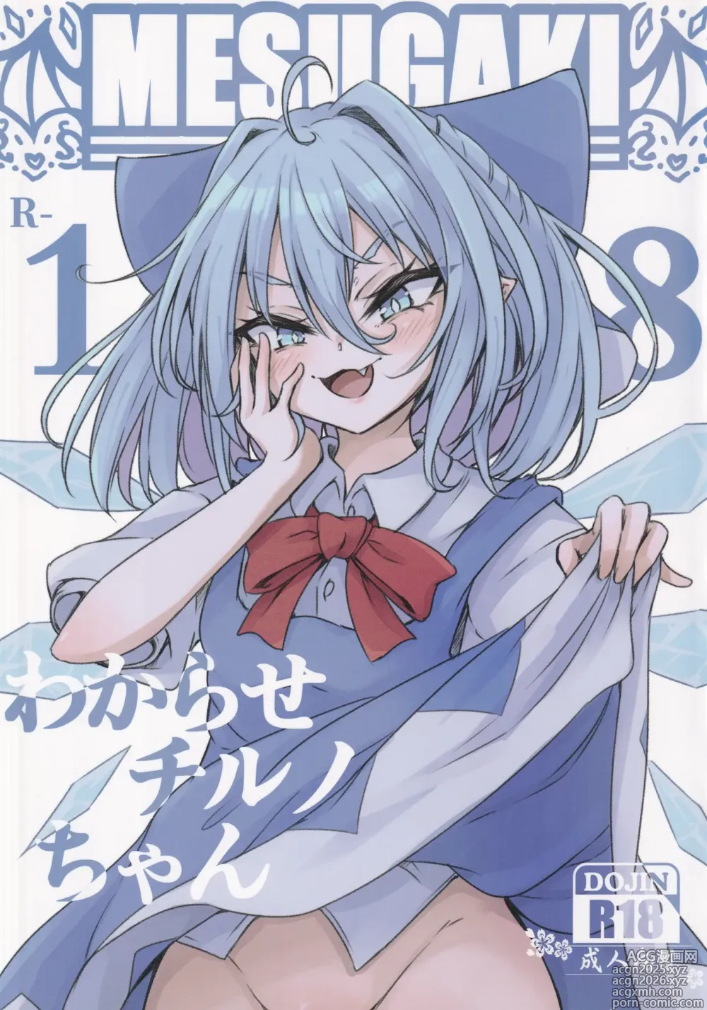 Page 2 of doujinshi Wakarase Cirno-chan