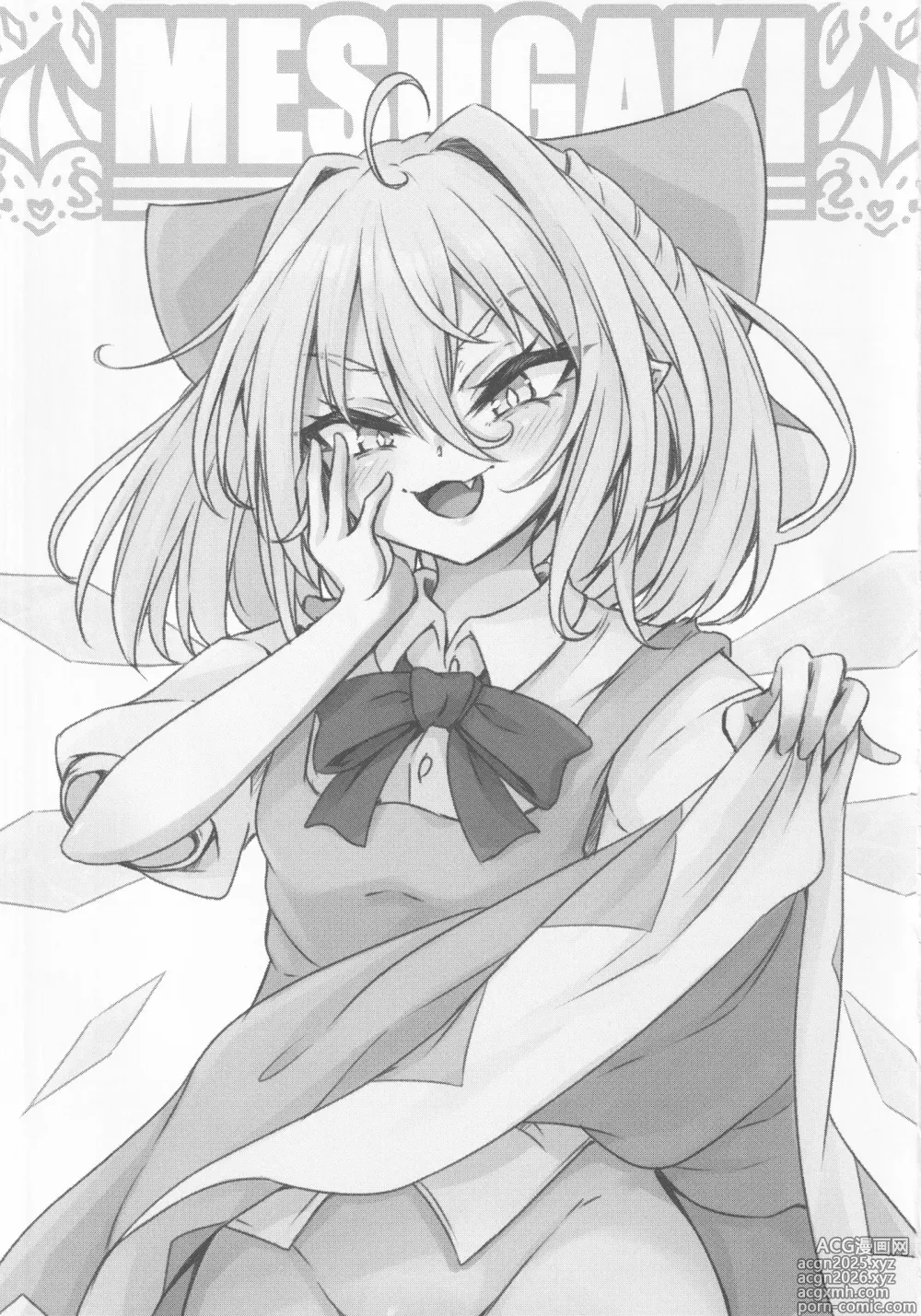 Page 3 of doujinshi Wakarase Cirno-chan
