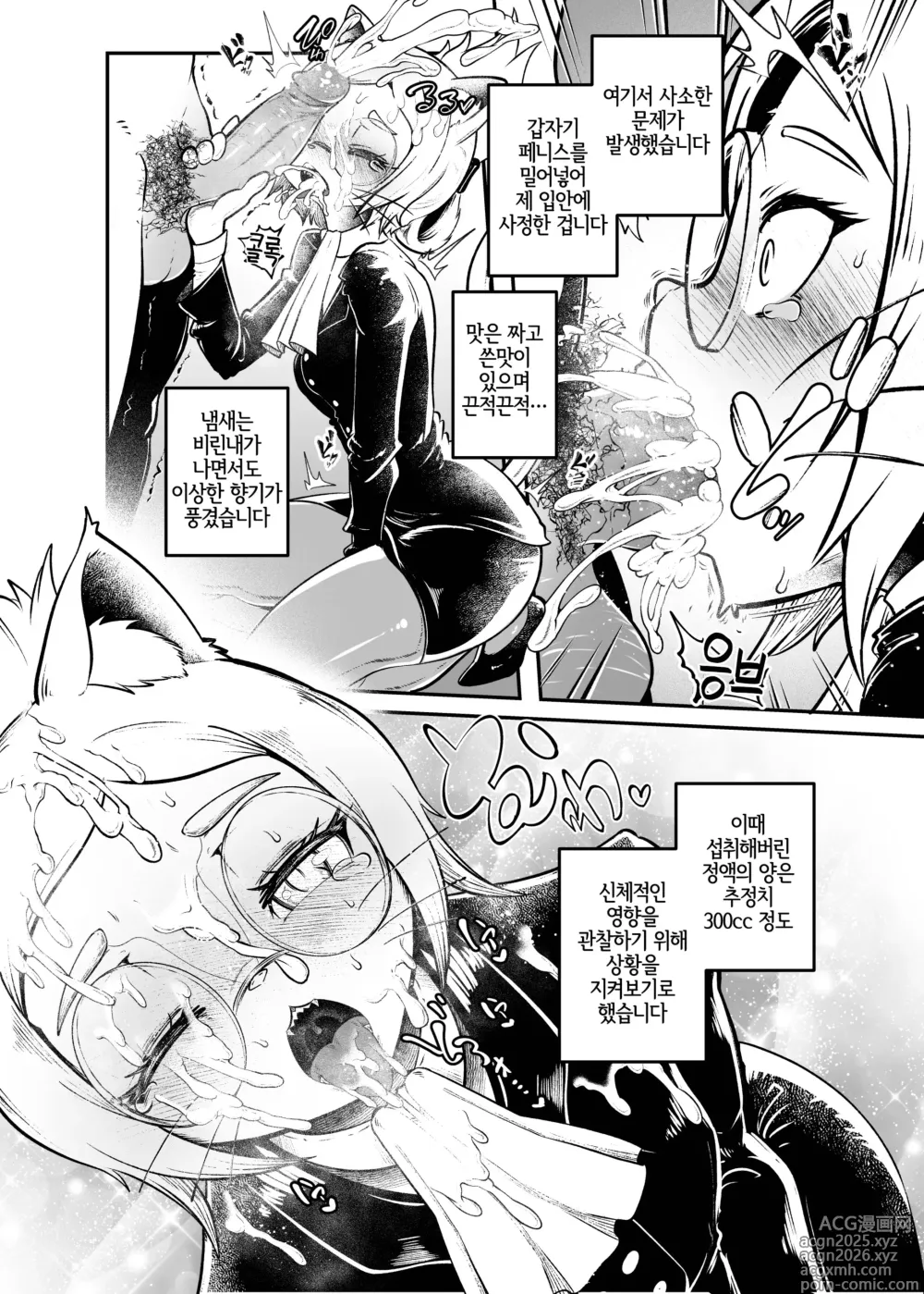 Page 11 of doujinshi 토네리코 보도관의 비밀보고서 (decensored)