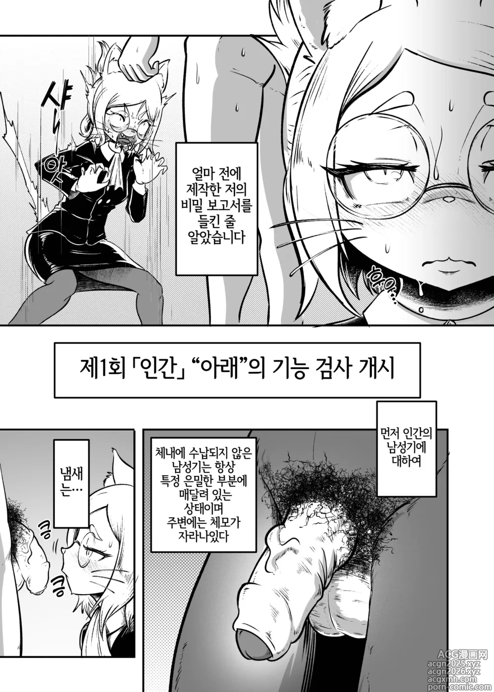 Page 8 of doujinshi 토네리코 보도관의 비밀보고서 (decensored)