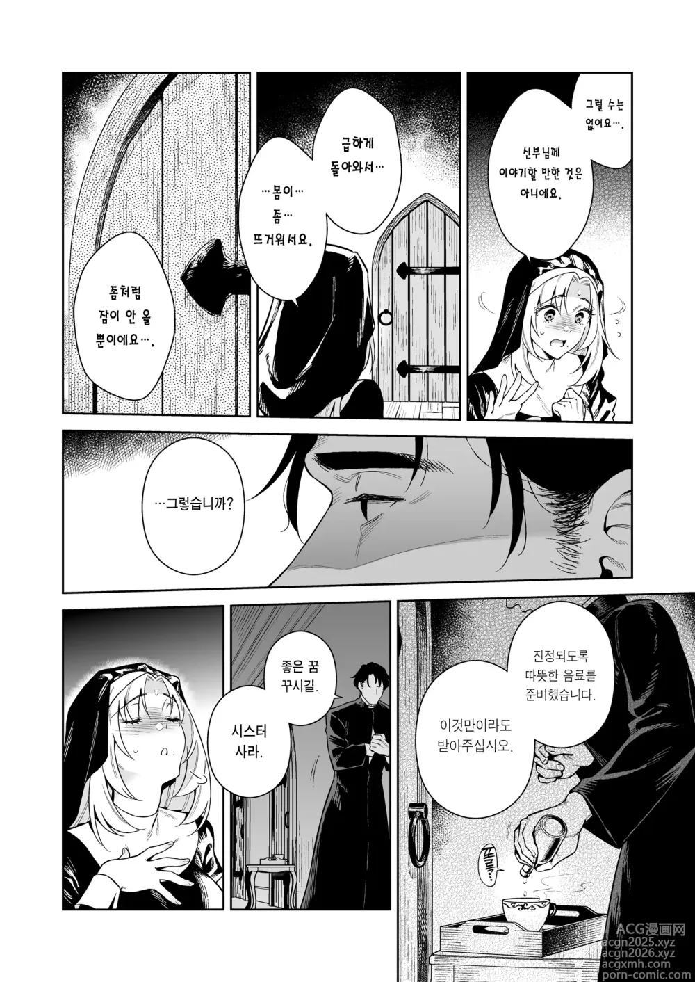 Page 29 of doujinshi 시스터 사라와 반점이
