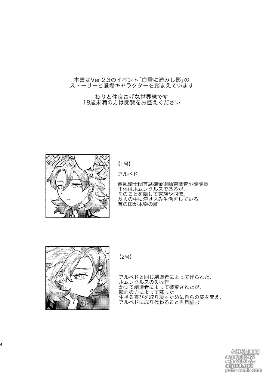 Page 3 of doujinshi Kagami no Awai