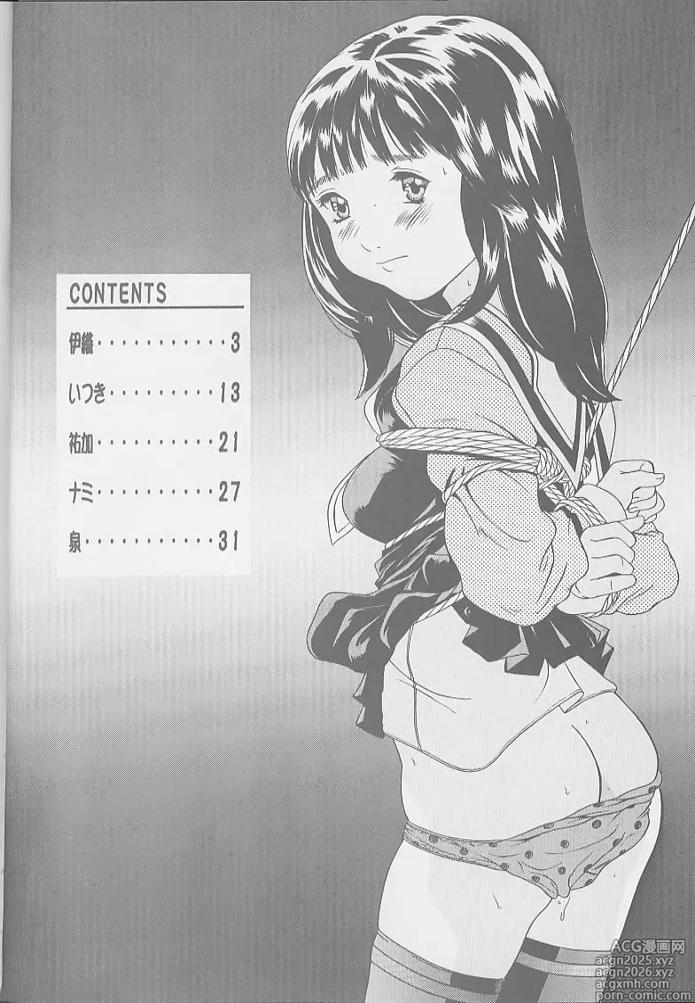 Page 4 of doujinshi I's I''s Heroine Kannou Illustration Shuu