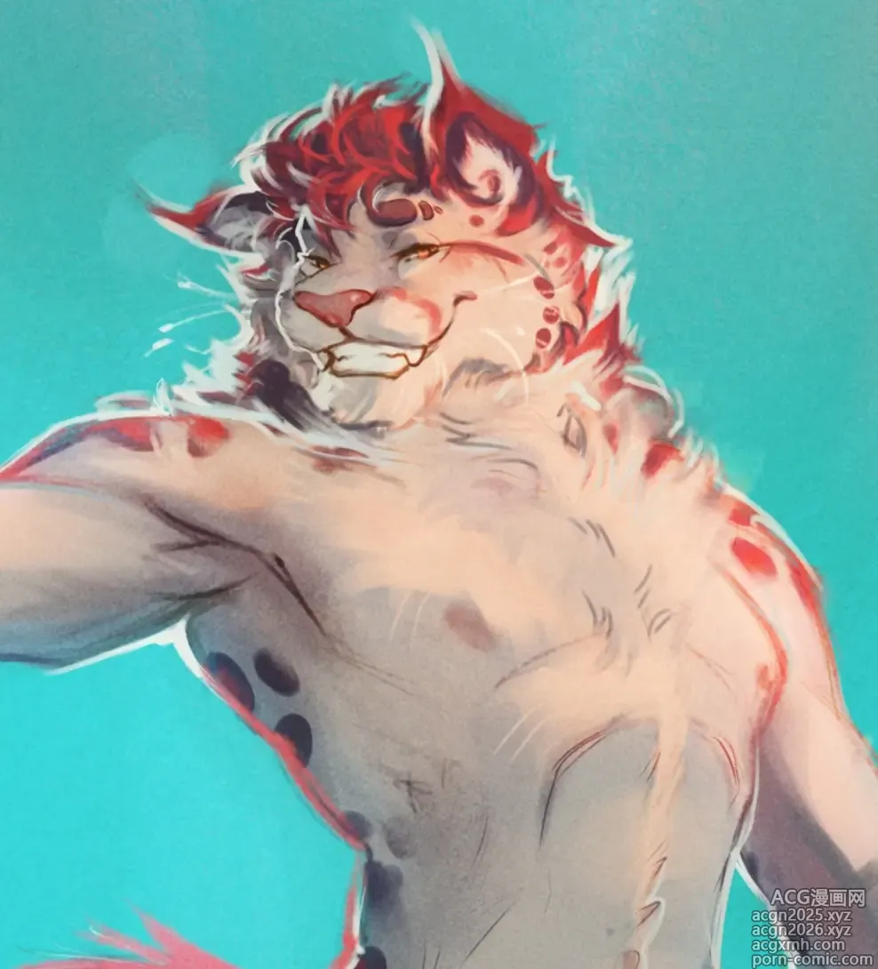 Page 4 of imageset r_snep_art