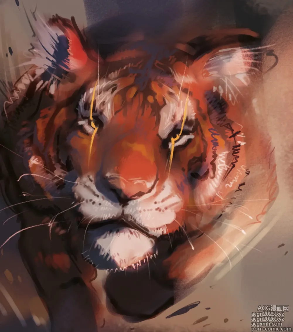 Page 7 of imageset r_snep_art