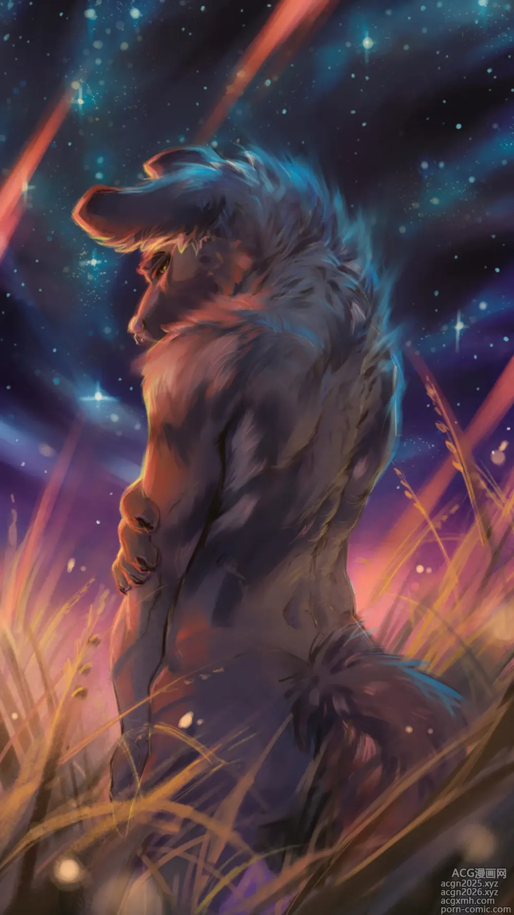Page 9 of imageset r_snep_art