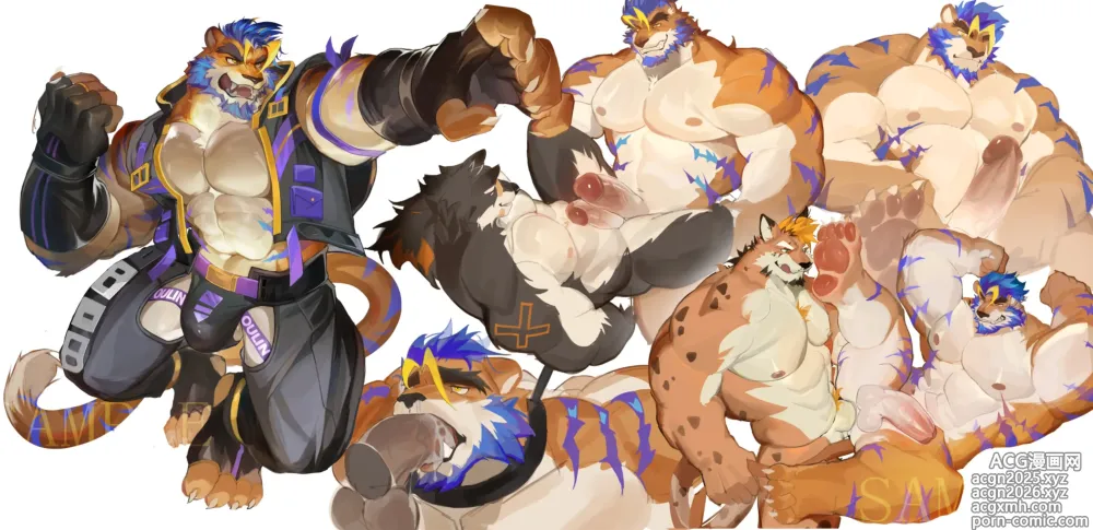 Page 17 of imageset mole_hm