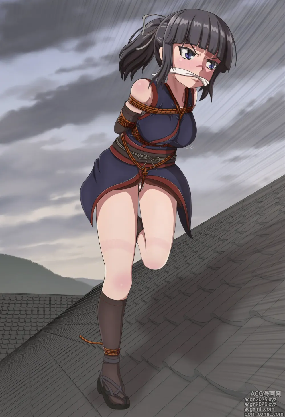 Page 1 of imageset リーパー