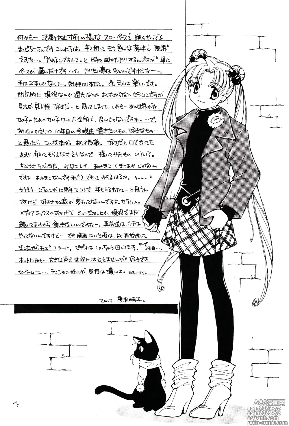 Page 4 of doujinshi Tsuki no Nai Yoru, Hoshitachi ga Inori o Sasageru Basho