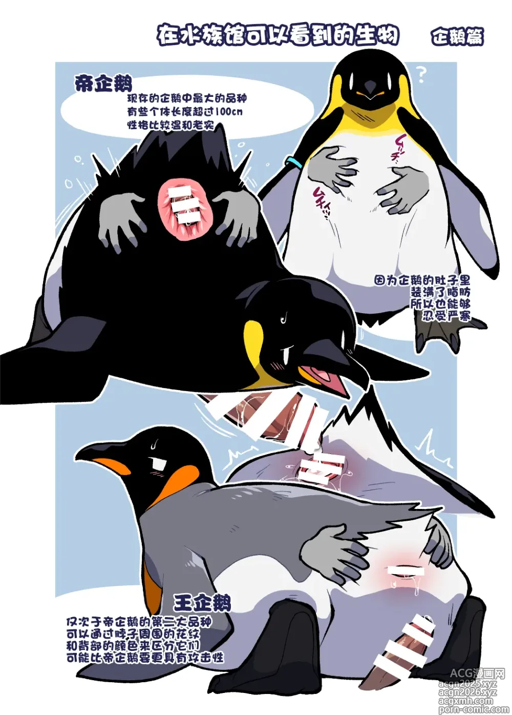 Page 13 of doujinshi 心跳不已水族奸
