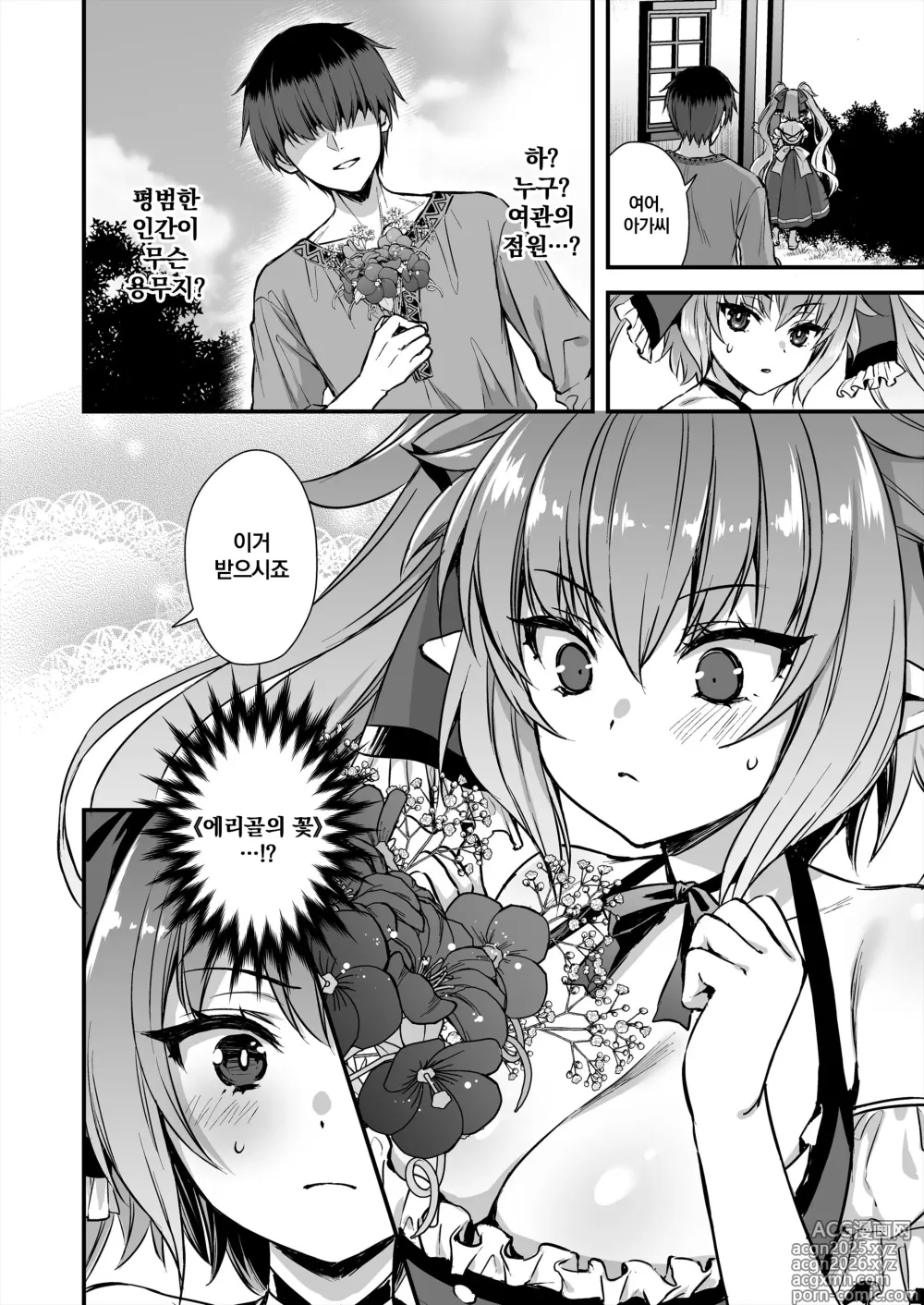 Page 17 of doujinshi 이세계 엘프 발정의 마안 8 ~서큐버스 NTL 편~